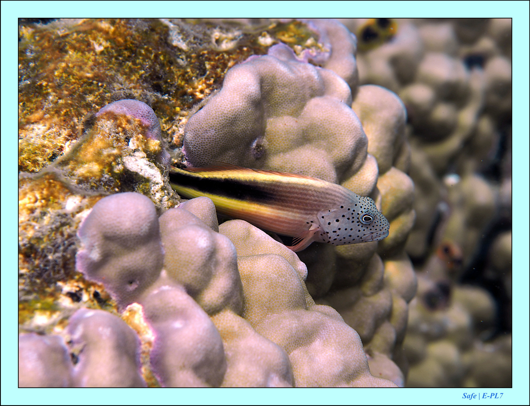 2023 - 07 - Sandies Bathala - 186